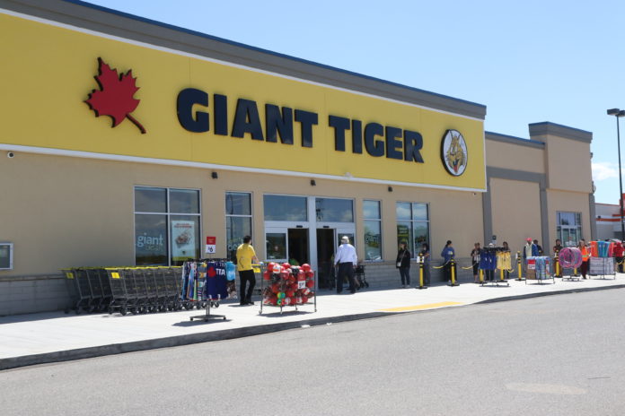 mini brands giant tiger